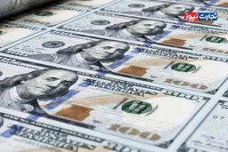 شوک بزرگ دلار در ۱۱ دی: سیگنال تک‌نرخی، کمرش را شکست؟