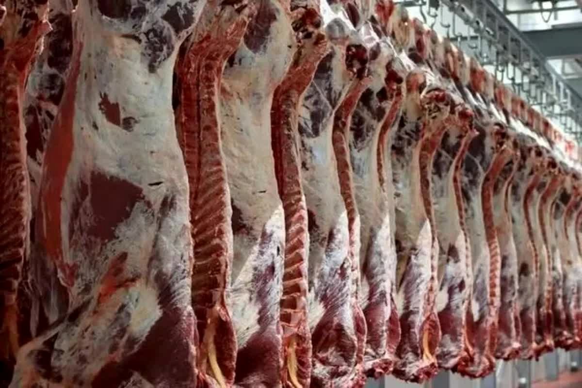 رسوایی گوشت ۸۰۰ هزار تومانی: پشت پرده تصمیم فاجعه‌بار حذف ارز ترجیحی!