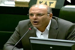 فریاد خشم در مجلس: این نماینده حذف ارز ترجیحی را "رسوایی" خواند!