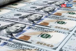 شوک دلار در راه است؟ راز داغ شدن بازار ارز و پیش‌بینی جنجالی ۳ اسفند ۱۴۰۴ فاش شد!