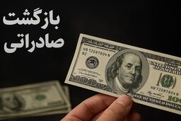 ورود شوکه کننده دستگاه قضا به پرونده تعهدات ارزی؛ میلیاردها دلار چه شد؟