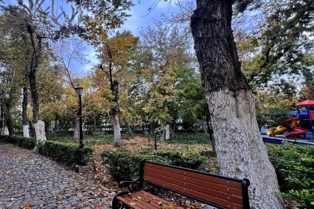 تهران نفس نمی‌کشد: 50 درصد بوستان‌های پایتخت در چنگال آفات!
