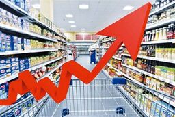 شوک جدید وزیر / قیمت مواد غذایی مانند ترکیه می‌شود؟