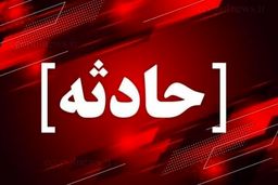 مرد اجیر شده با قمه بچه را ربود! 