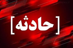 مرد اجیر شده با قمه بچه را ربود! 