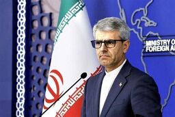 بقا در میان خاکستر؛ تسلیت بقایی به قربانیان فاجعه هوایی ترکیه!