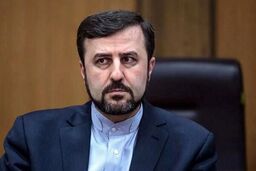غریب آبادی: ایران و عربستان روی بام اشتراکات پنهان!